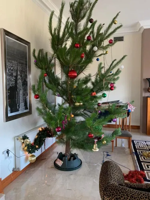 Natural Christmas Tree