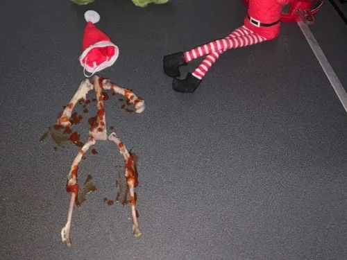 Elf On The Shelf eaten with only skeleton remaining