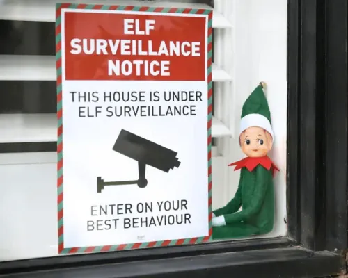 Elf Surveillance