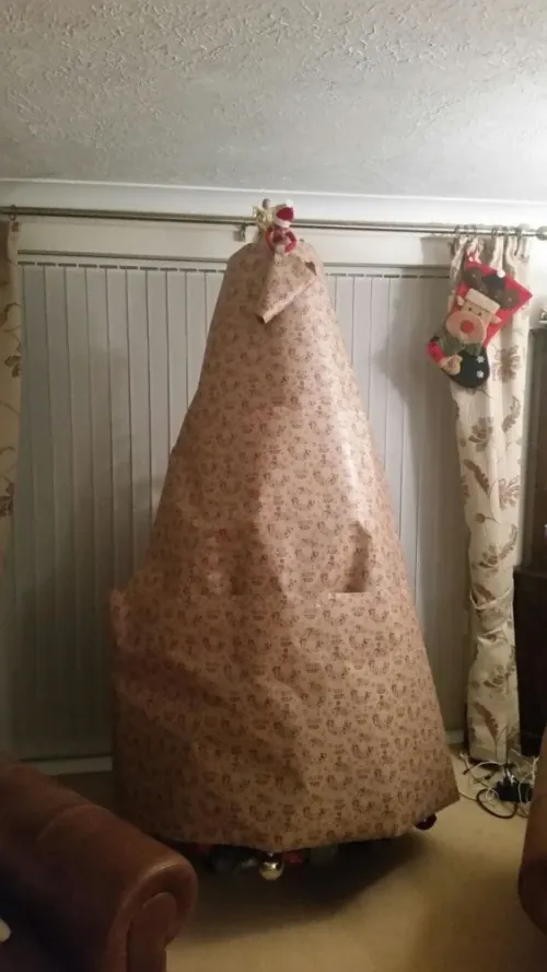 Wrap the tree in paper