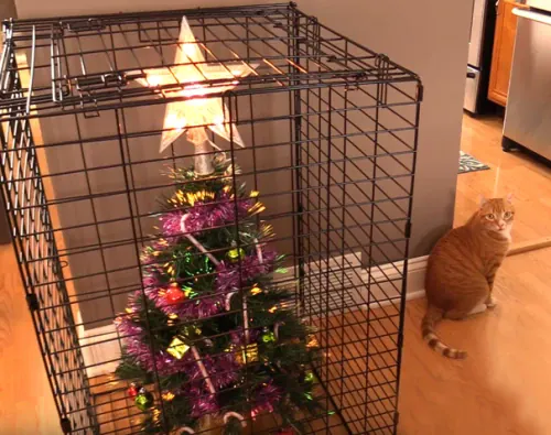 Christmas tree inside a hamster cage