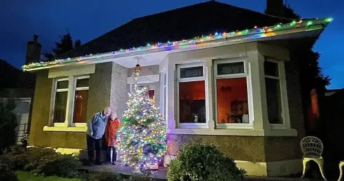 Couple from Edinburgh, Scotland are keeping their Christmas tree up all year