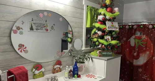 Lady gives her bathroom a splash of Grinch for Christmas