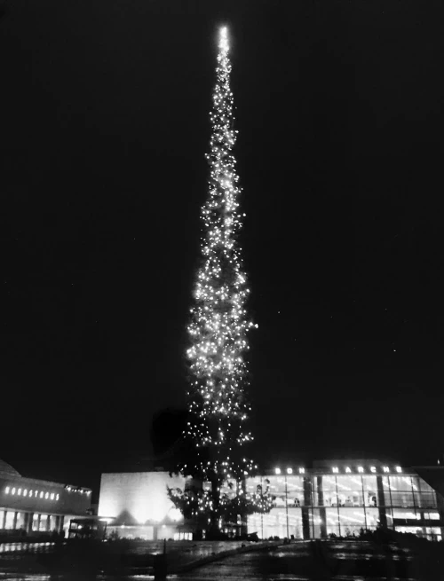 The Tallest Christmas Tree Ever: A Towering Holiday Wonder