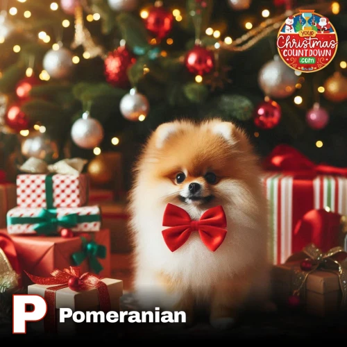 Gallery of dog breeds looking super cute at Christmas time