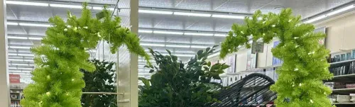 Grinch style artificial trees arrive at Hobby Lobby