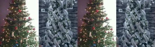 Lady slammed after posting about her improved tree decorating skills